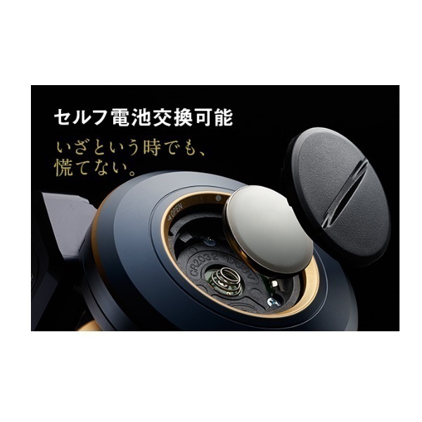 ソルティガ IC